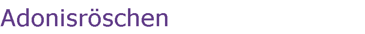 Adonisrschen