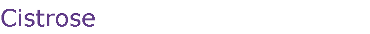 Cistrose