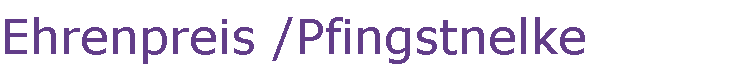 Ehrenpreis /Pfingstnelke