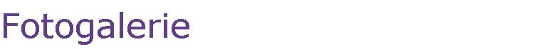 Fotogalerie