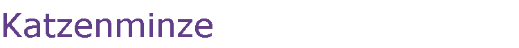Katzenminze