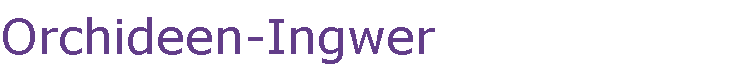 Orchideen-Ingwer