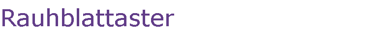 Rauhblattaster